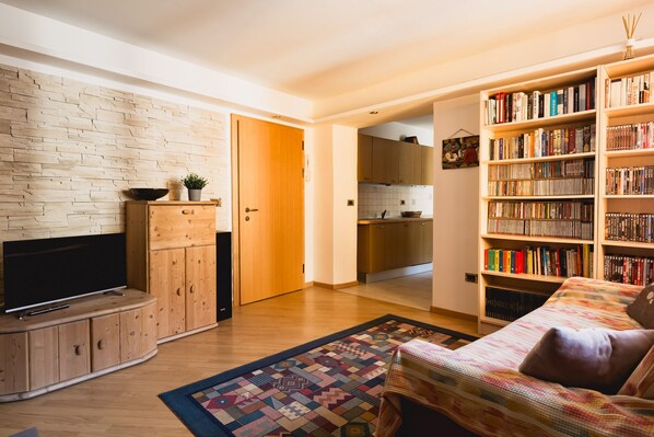 TV, video games, DVD player, books