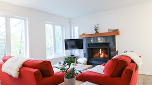 Smart-TV, Kamin, Videospiele, DVD-Player