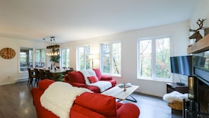 Smart-TV, Kamin, Videospiele, DVD-Player