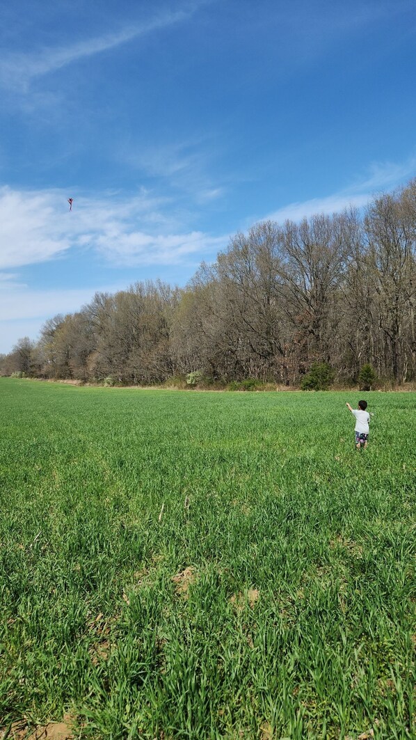 9 عدّة غرف نوم