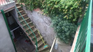 Un escalier étroit avec des rampes vertes mène à un niveau inférieur, qui est entouré de verdure et d’un mur en b éton.