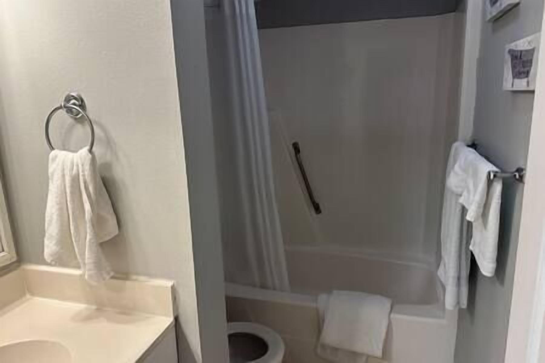 Een badkamer met douche, toilet en wastafel.