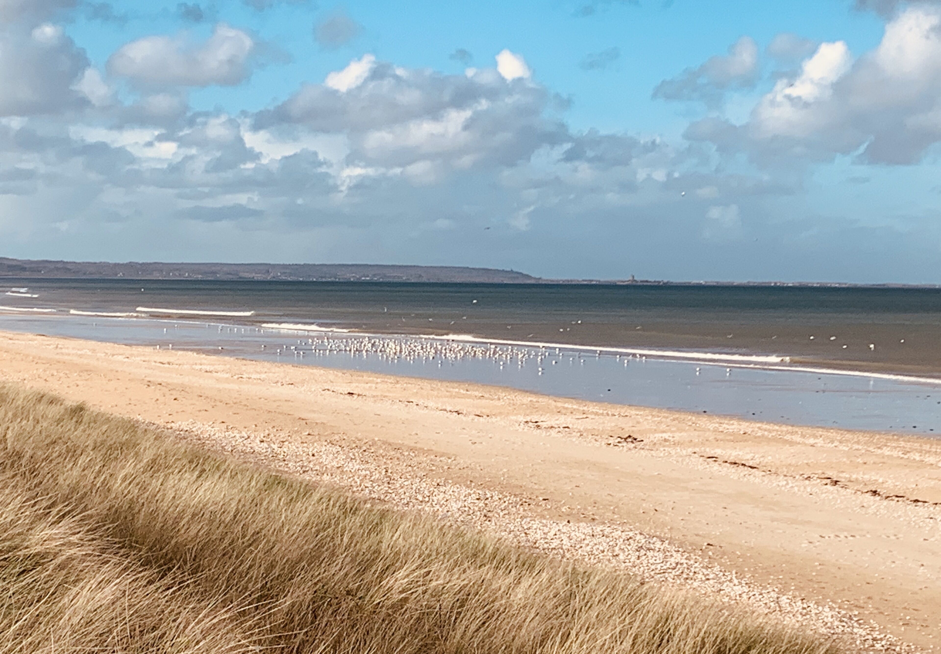 Plage à proximité, chaises longues, serviettes de plage