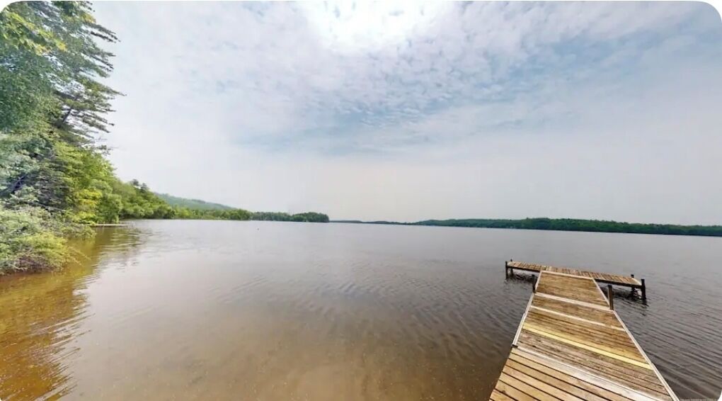 A wooden dock extending into a calm lake surrounded by dense greenery.