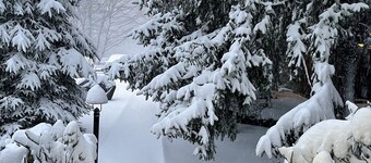Relax at Couple’s Retreat. View, Ski, Winery, Hike, Ziipline, Snow Tube…here