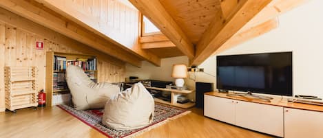 TV, video games, DVD player, books