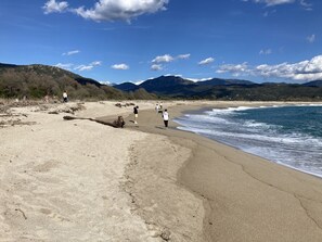 Plage à proximité