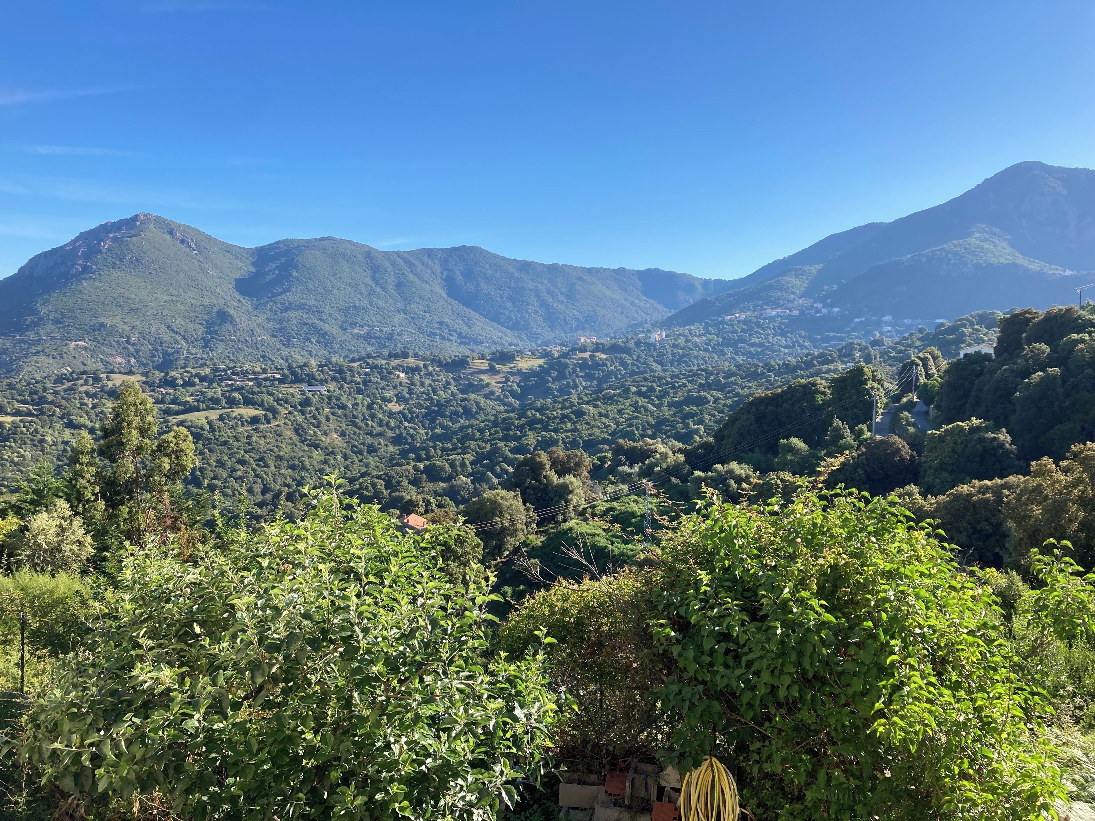 Un paysage montagneux caractérisé par une végétation luxuriante et un ciel dégagé.