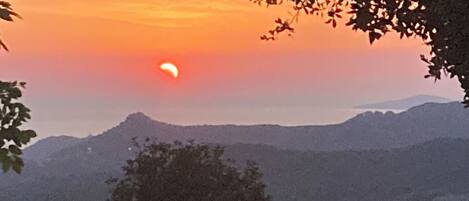 A sunset over a mountainous landscape with a tree in the foreground.