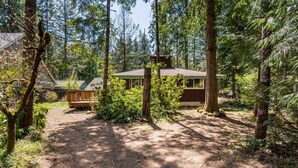 Une cabane entourée d’une forêt dense, avec un sentier de terre menant à l’entrée.