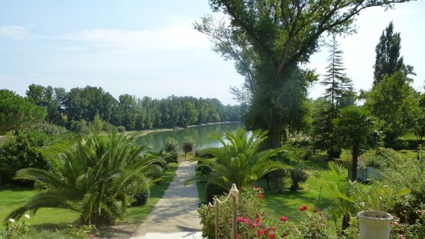 Un camino que lleva a un lago rodeado de exuberante vegetación y árboles.