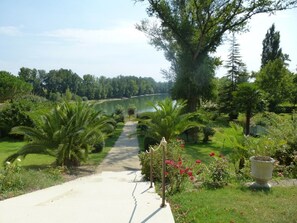 Un camino que lleva a un lago rodeado de exuberante vegetación y árboles.