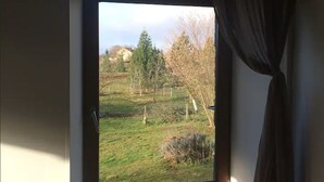 Une fenêtre donnant sur un champ verdoyant, des arbres et un bâtiment situé au loin.