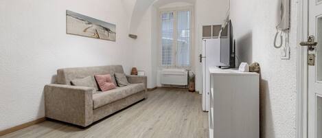 A compact living space with a sofa, a television, and a refrigerator.