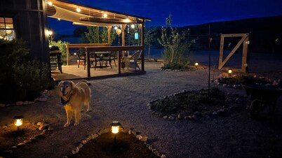 Bluff Bungalow w/ Patio, Dogs Welcome