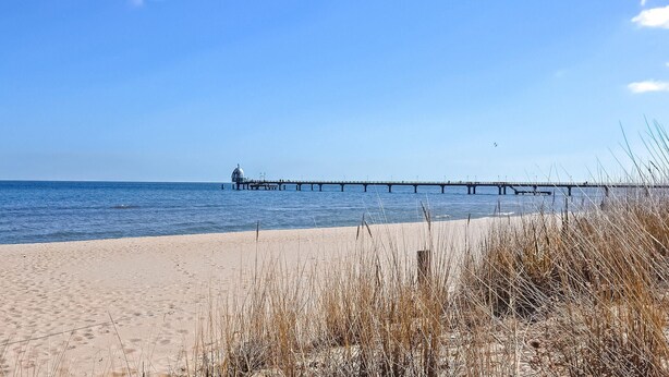 A beach with a long pier extending into the water, a clear sky, and sparse vegetation in the foreground. - Ferienhaus Zinnowitz (Seebad) (Zinnowitz (Seebad))