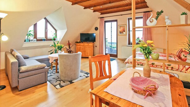 Uma sala de estar acolhedora com sofá, mesa de jantar com cadeiras, televisão e varanda com plantas.