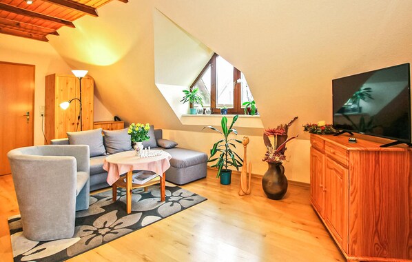 Fernseher, Stereoanlage