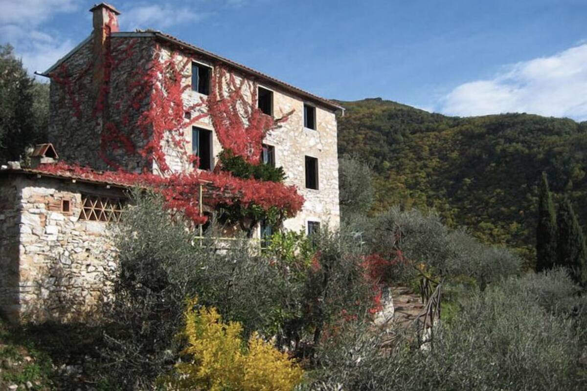A stone building with ivy-covered walls and a rustic appearance, surrounded by dense vegetation and hills in the background.