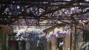Villa – gallery | Terrasse/patio