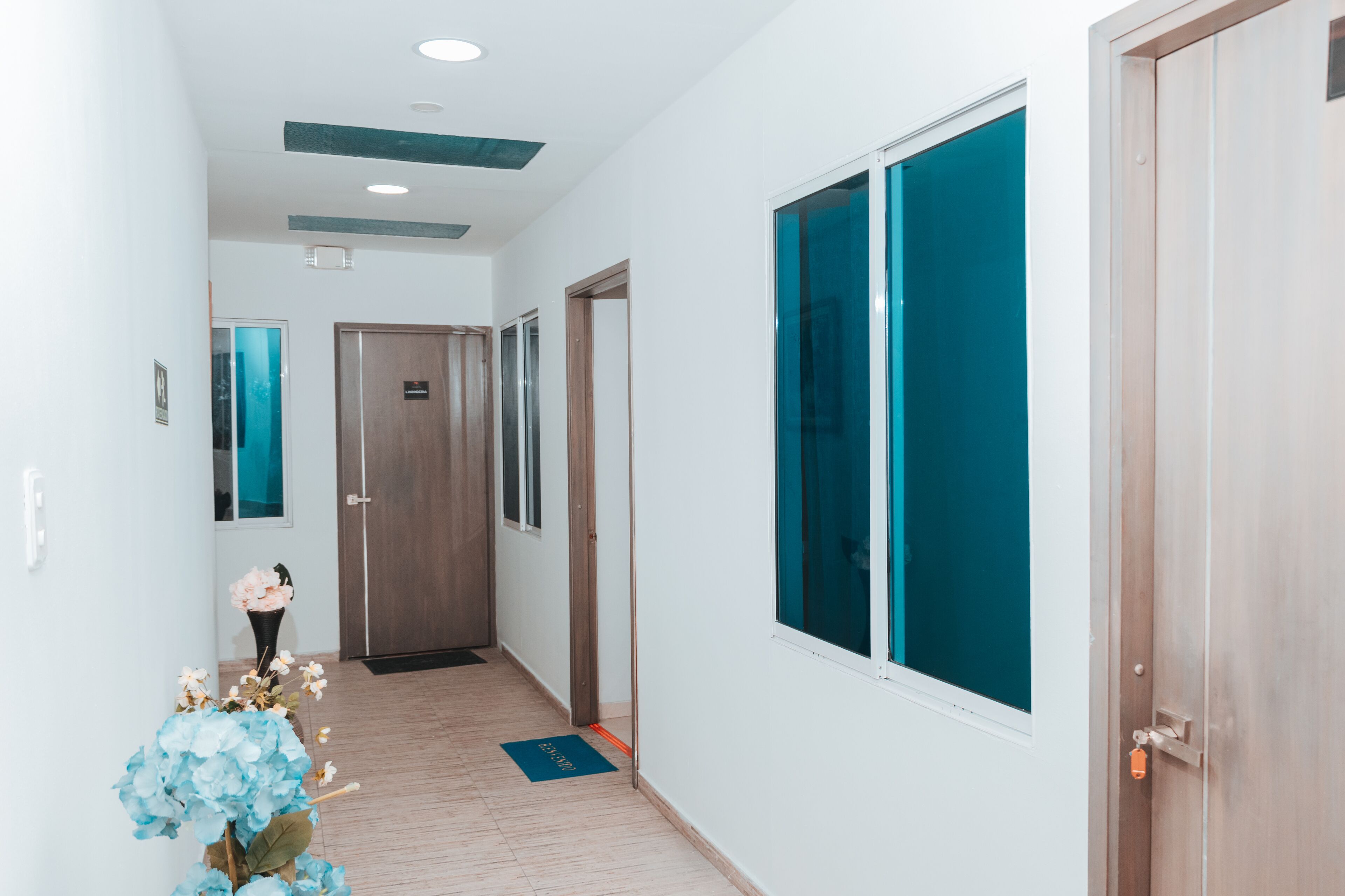 Un pasillo con suelo de madera, un tapete azul y una puerta con ventanal verde azulado.