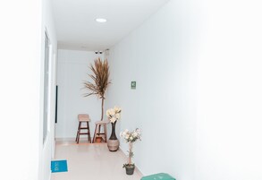 Un pasillo moderno y luminoso con suelo de madera, dos taburetes de madera, una planta decorativa alta y un jarrón con flores.