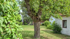 A tree with apples and a house in the background. - Ferienwohnung Wesenberg (Wesenberg OT Strasen)