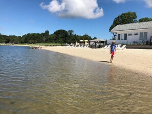 Beach nearby, sun loungers, beach towels - Cozy beach house surrounded by nature, vineyards, farms, stables and much more (Riverhead)