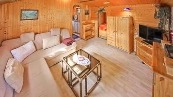 Fernseher, Stereoanlage