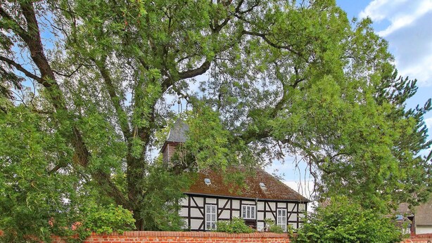 Una casa tradizionale con struttura a telaio in legno, un muro in pietra e un grande albero di fronte.