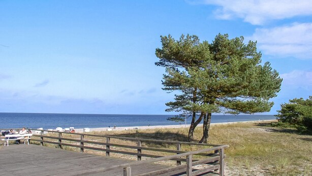 A wooden pier leading to a sandy beach with a clear view of the ocean. - Ferienwohnung Prerow Ostseebad (Prerow (Ostseebad))