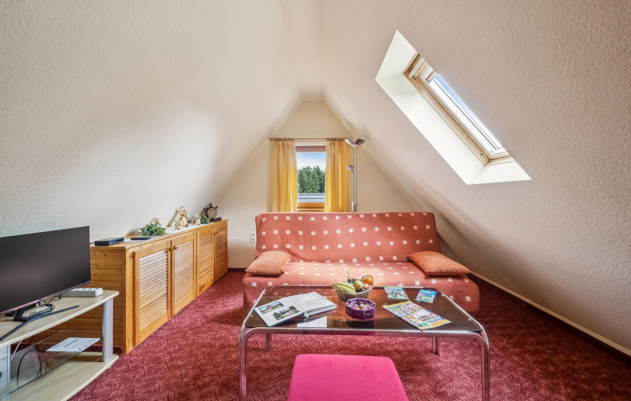 TV, tavolo da ping pong, impianto stereo