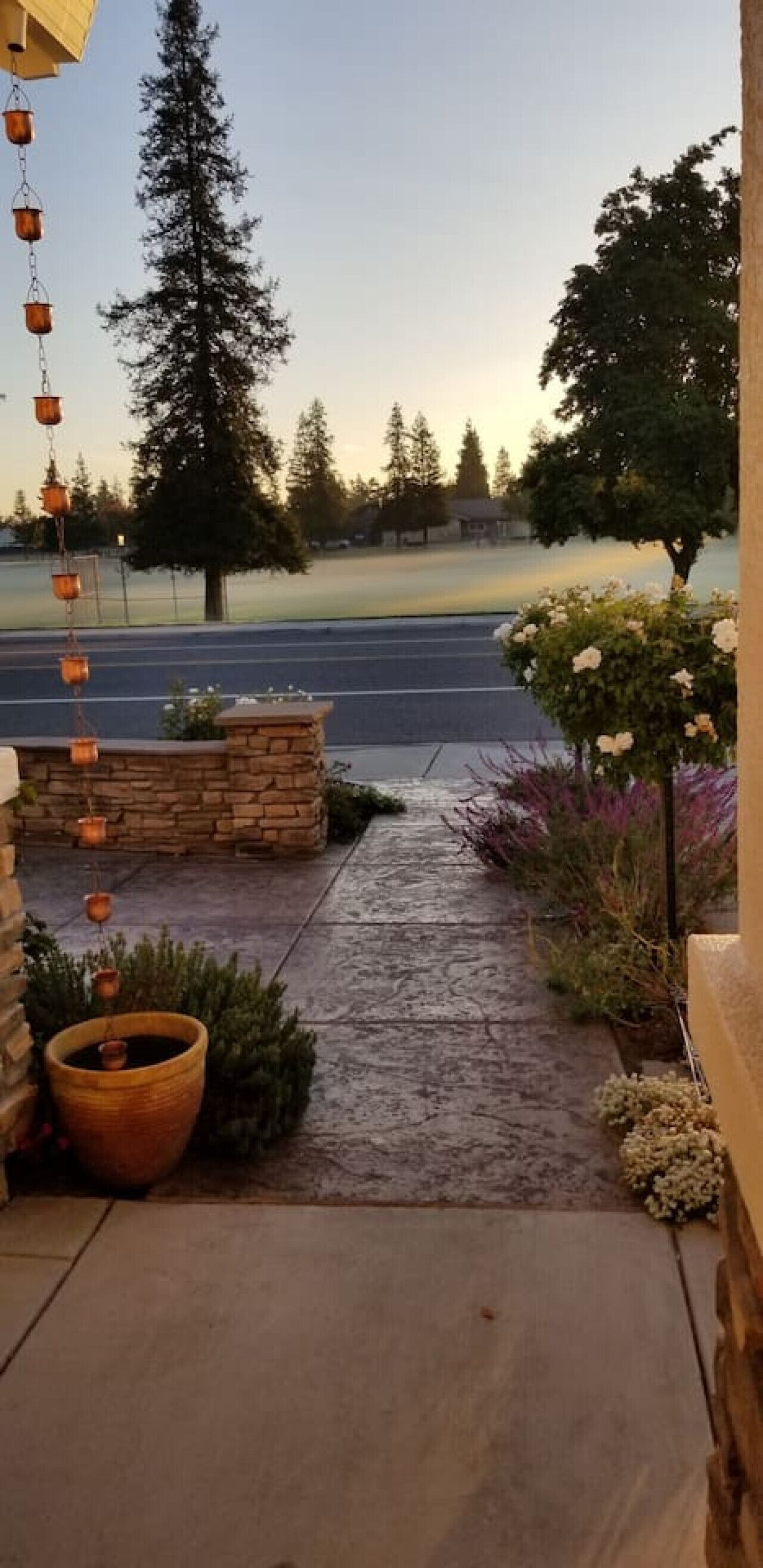 Winter morning park view