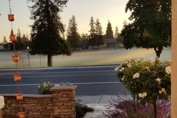 Winter morning park view