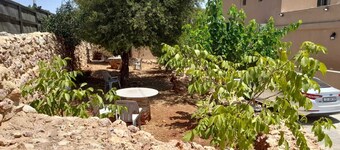مزرعة القيقب عجلون wild strawberry villa ajloun