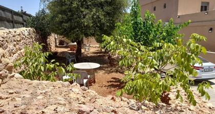 Ù
ŰČ۱ŰčŰ© ۧÙÙÙÙŰš ŰčŰŹÙÙÙ wild strawberry villa ajloun