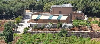مزرعة القيقب عجلون wild strawberry villa ajloun