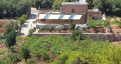 مزرعة القيقب عجلون wild strawberry villa ajloun
