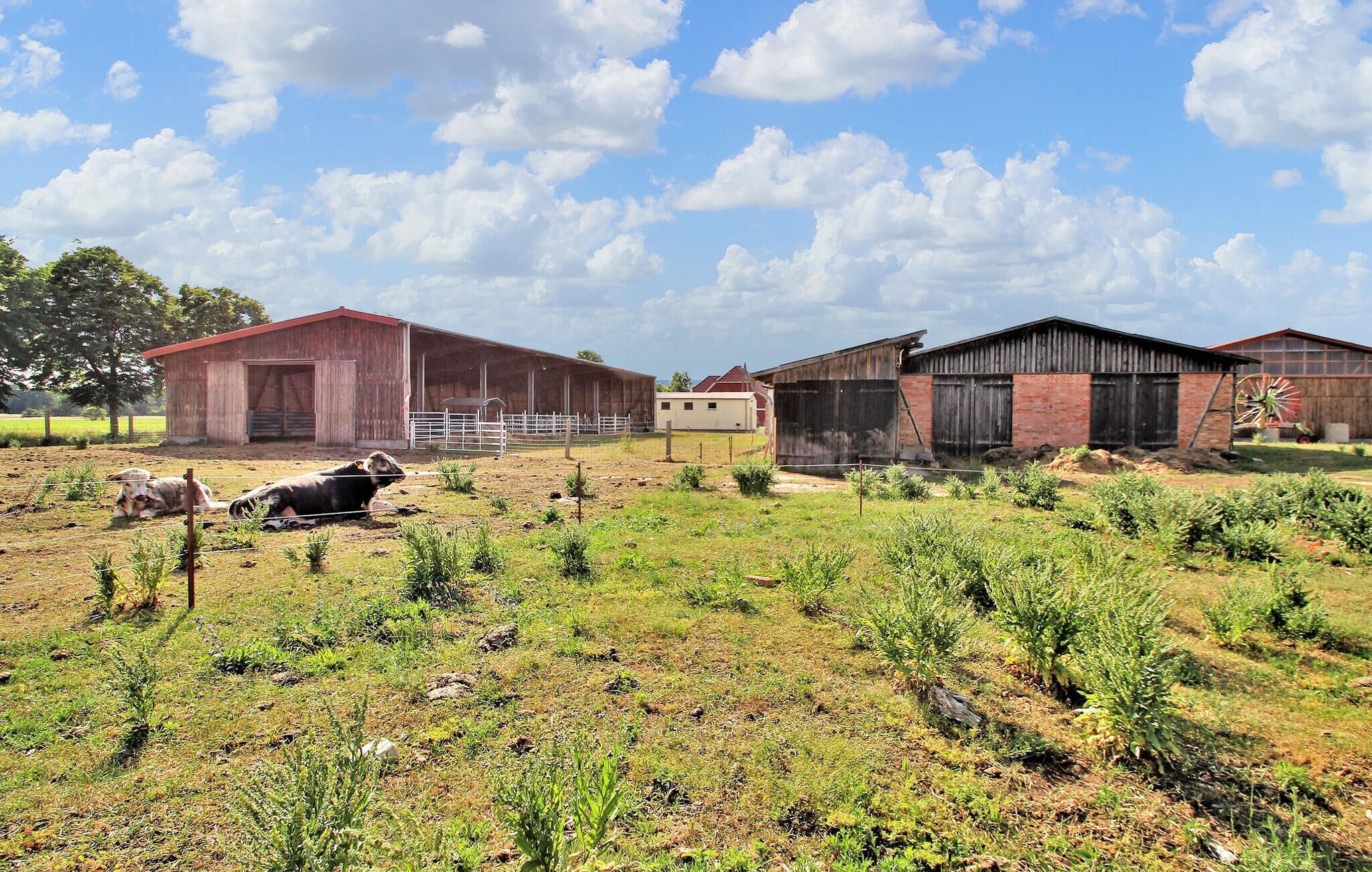 Terrain de l’hébergement 