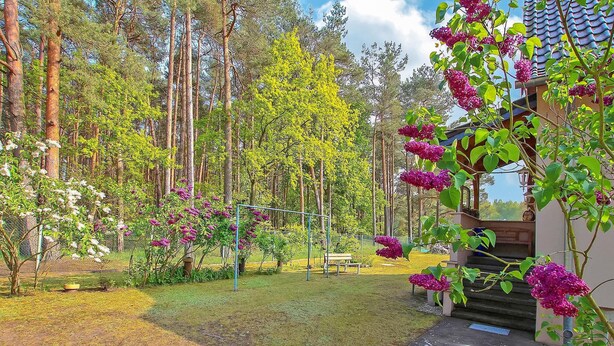 Een tuin met een pergola, een klein gebouw en hoge bomen.
