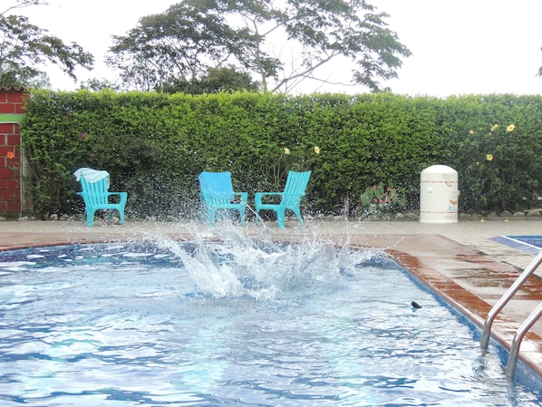 Outdoor pool, open 8:00 AM to 5:00 PM, sun loungers