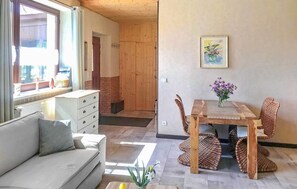 Télévision, cheminée, chaßne hi-fi