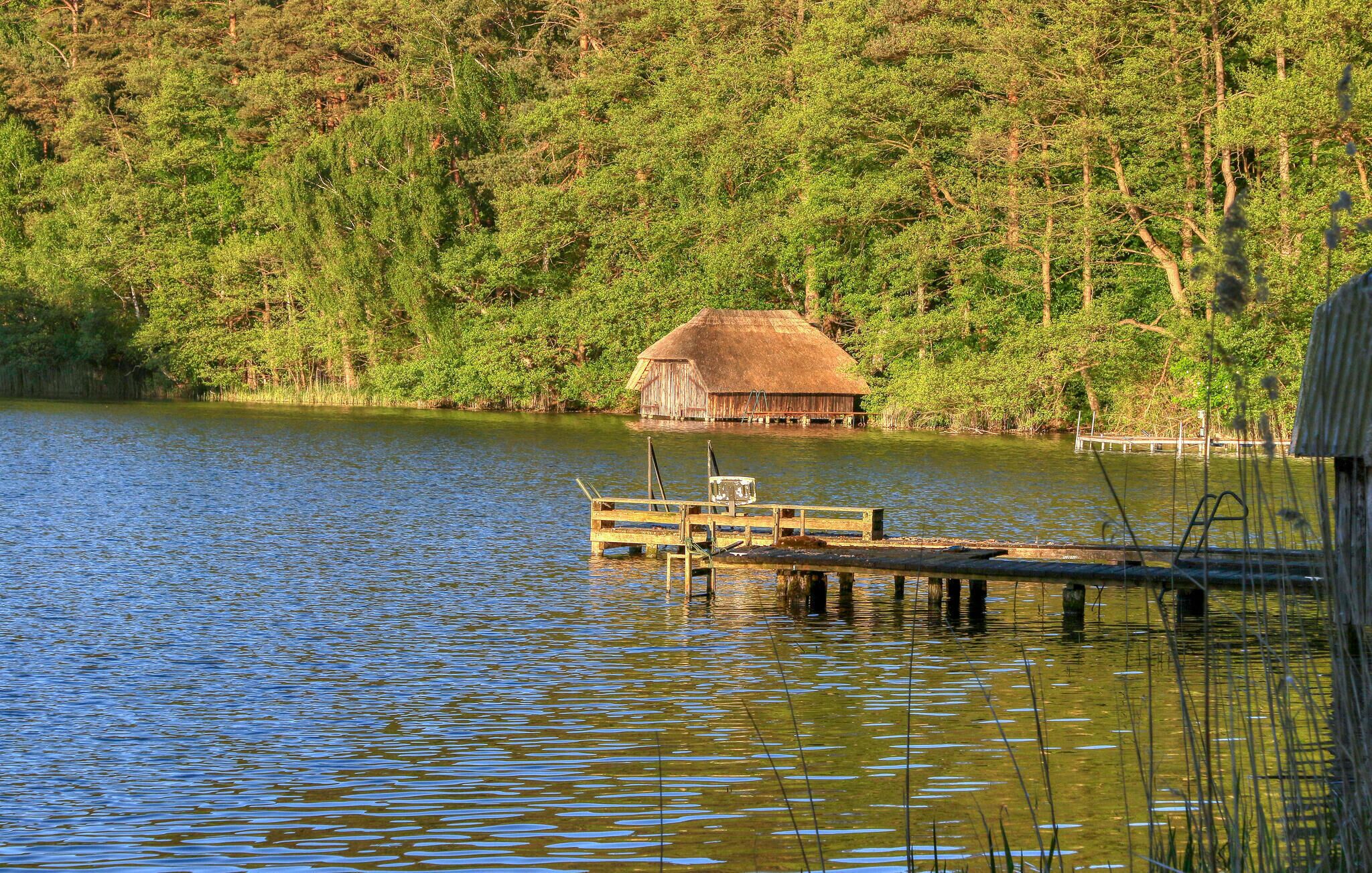 A wooden dock extending into a calm lake, surrounded by dense forest. A thatched-roof structure is visible in the background.