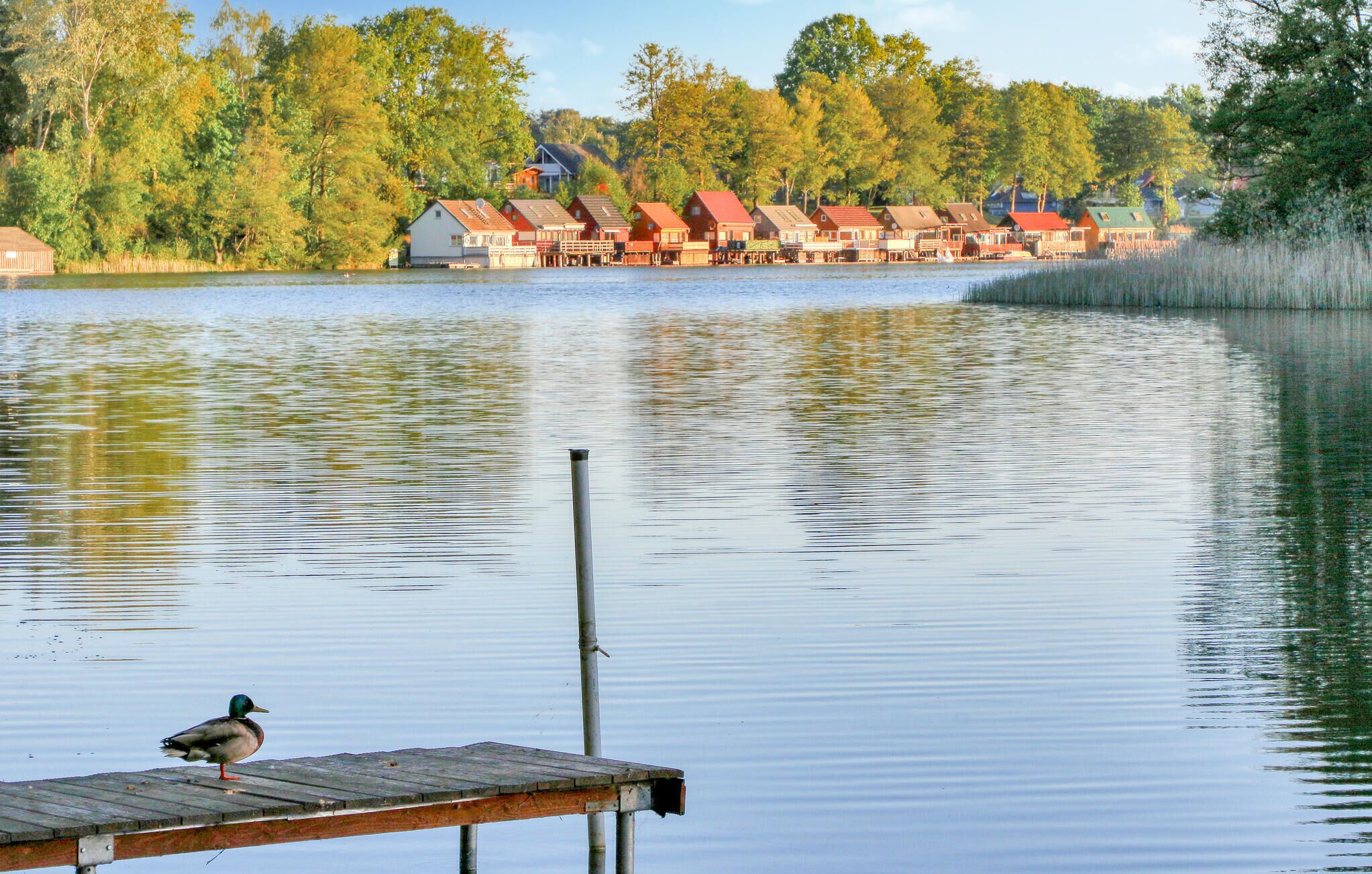 Un cadre paisible au bord du lac, avec une rangée de cabanes et une jetée en bois sur laquelle est posé un oiseau.