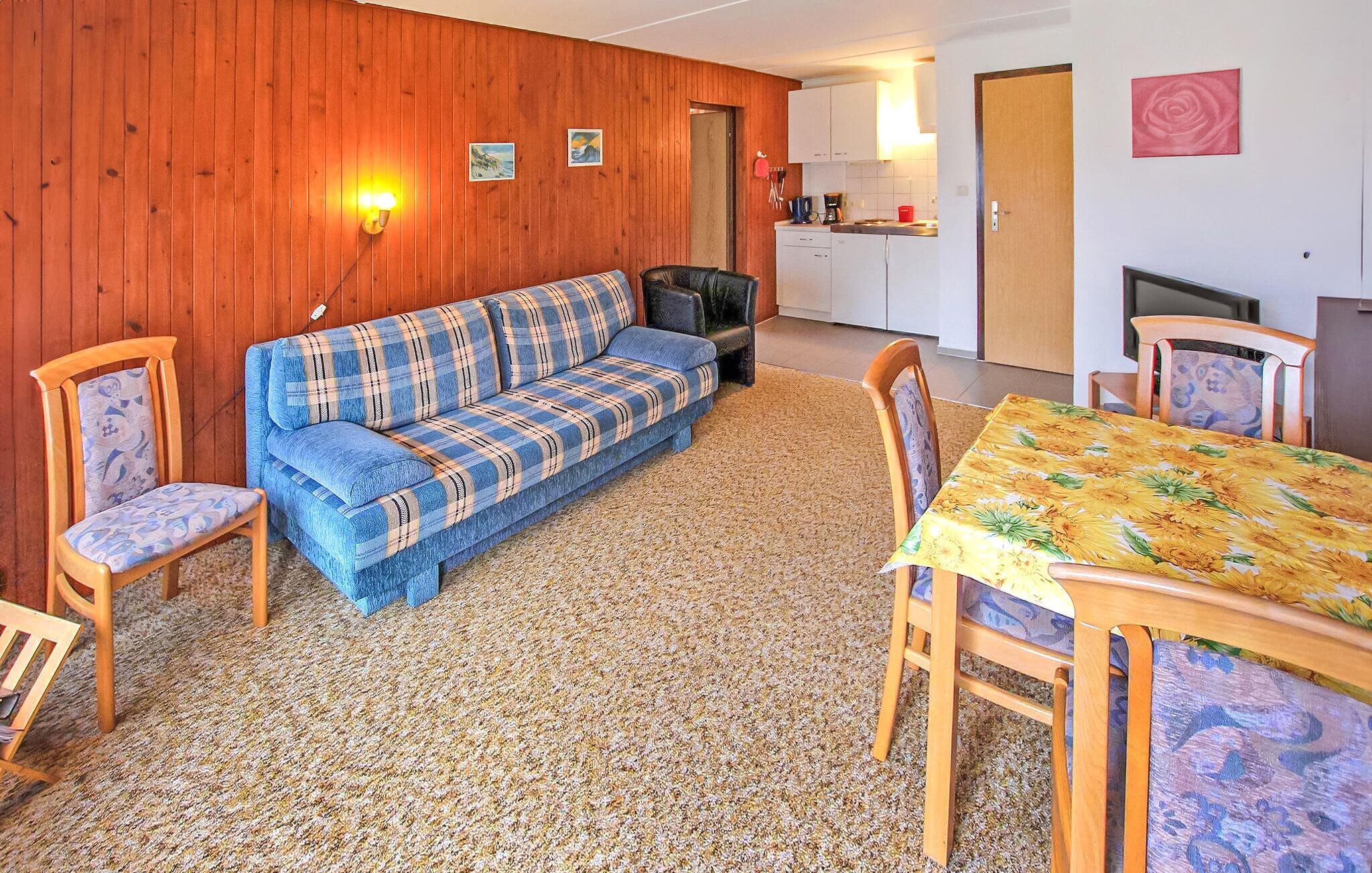 Fernseher, Stereoanlage