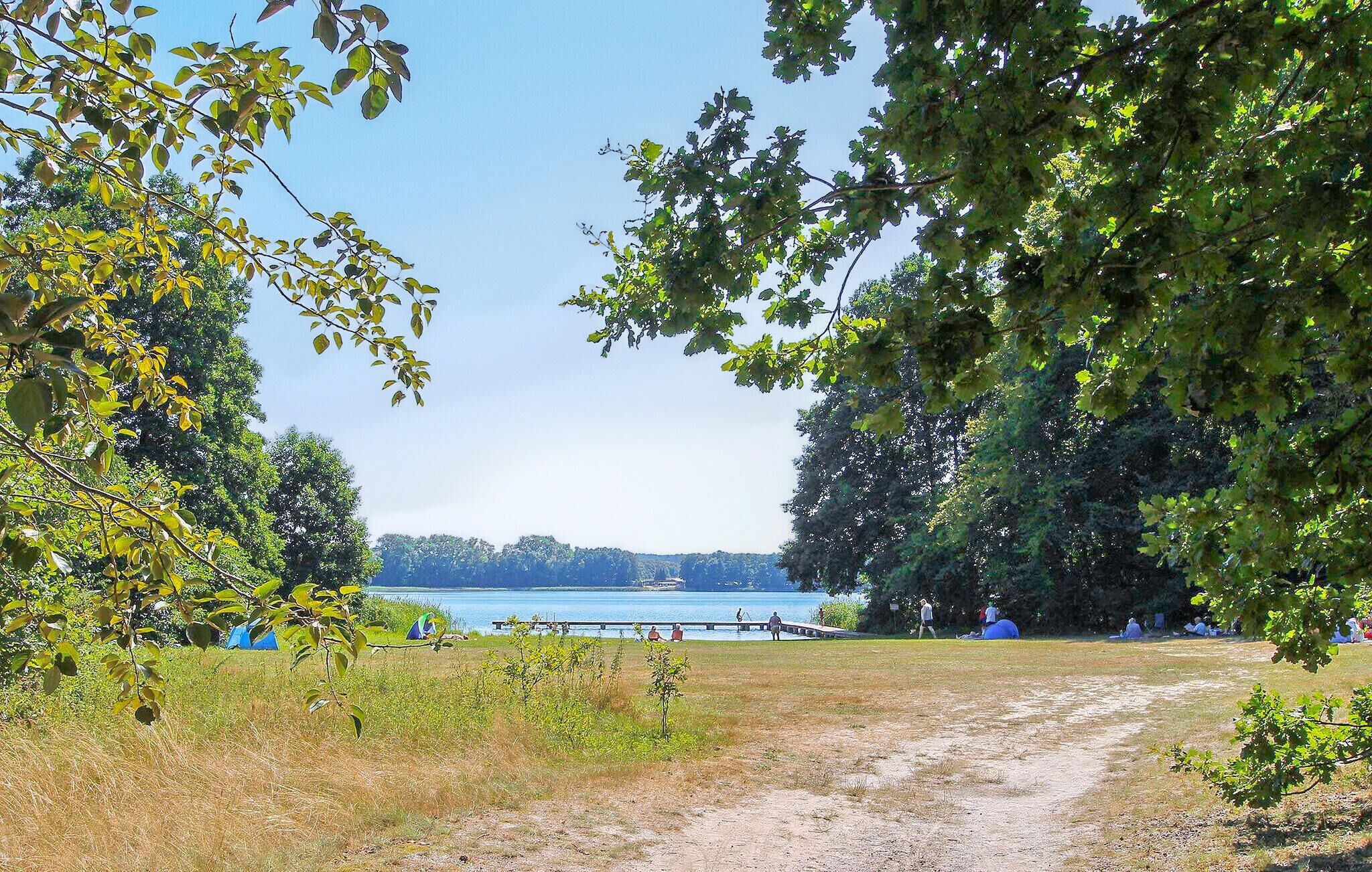 A park with a dirt path leading to a lake, surrounded by trees and people relaxing.
