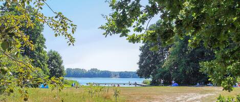 A park with a dirt path leading to a lake, surrounded by trees and people relaxing.