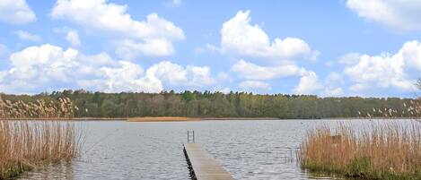 Une jetée en bois s’avançant dans un lac paisible, entourée de hautes roseaux et bordée d’une rive boisée.
