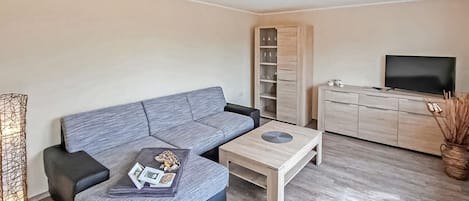 电视、立体声音响