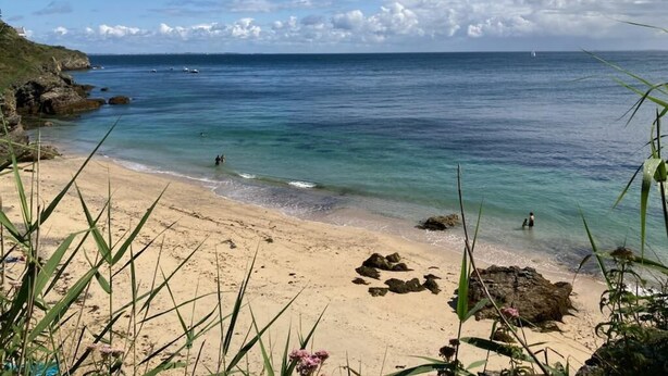 A beach with clear water, rocky outcrops, and sparse vegetation. - Villa Valérie - Locmaria (LOCMARIA)